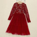 Holiday Lace Dress